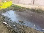 Tavuk Çiftliklerine Denetim ve Ceza
