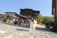 Akyazı’nın Genç Sağlıkçıları Taraklı’yı Keşfetti