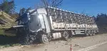 Taraklı'da Trafik Kazası Can Aldı