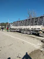 Taraklı'da Trafik Kazası Can Aldı
