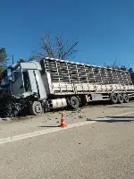Taraklı'da Trafik Kazası Can Aldı
