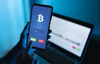 Sahte Gemini ile Dev Vurgun!