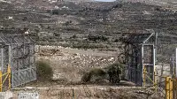 Suriye'den Golan'a Askeri Sevkiyat