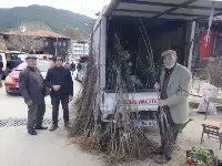 Pazarda Fidan Satışları Başladı