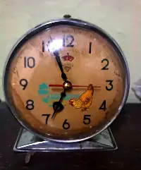 Zamana Meydan Okuyan Horozlu Saatler