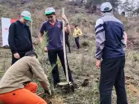 Taraklı'da Fidan Dikim Etkinliği