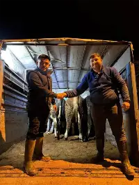 Kurban Hareketliliği Başladı