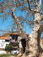 Taraklı Huzurun Başkenti Oldu