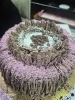 Mümkünlü’de Her şey Mümkün…