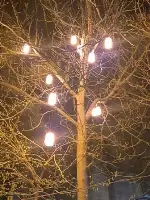 Mümkünlü’de Her şey Mümkün…