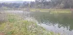 Kayaboğazı Göleti’nde Su Seviyesi yükselişi Devam Ediyor