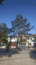 Şehit Mehmet Nuri Kocabıyık Meydanı Yenileniyor