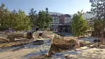 Taraklı Meydanı Yenileniyor