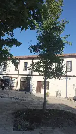 Taraklı Meydanı Yenileniyor