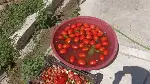 Taraklı’da Kış Hazırlıkları Sürüyor