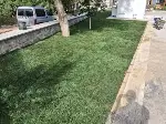 Tarihi Çınarda Çevre Düzenlemesinde Sona Gelindi