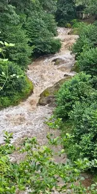 Aşırı Yağış Uyarısı: Dere Kenarlarından Uzak Durun