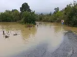 Karagöl Yaylası'na Girişler Yasaklandı